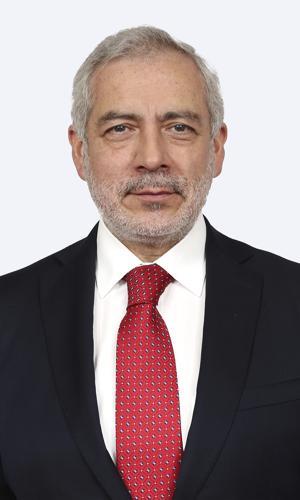  Raúl Guzmán Uribe
